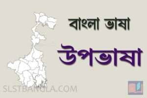 Read more about the article বাংলা ভাষার উপভাষা – বিস্তারিত আলোচনা