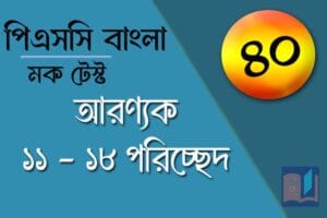psc bangla mock test 40