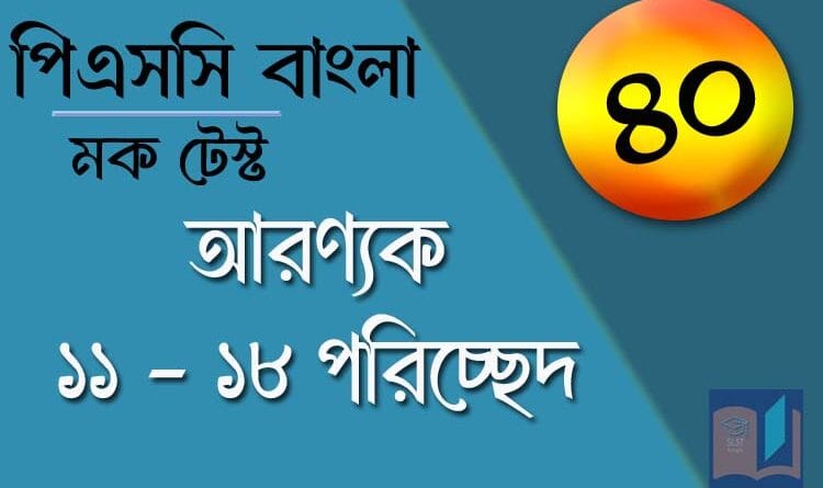 psc bangla mock test 40
