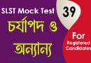 শ্রীকৃষ্ণকীর্তন ও সন্ধি